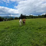 De La Ferme De La Comte *