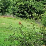 De La Ferme De La Comte *