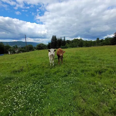 De La Ferme De La Comté *