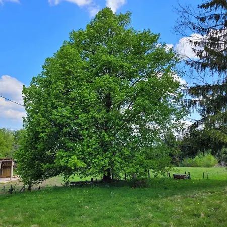 De La Ferme De La Comte * Le Thillot