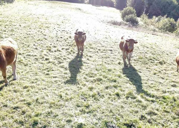 Prázdninový dům De La Ferme De La Comte Le Thillot
