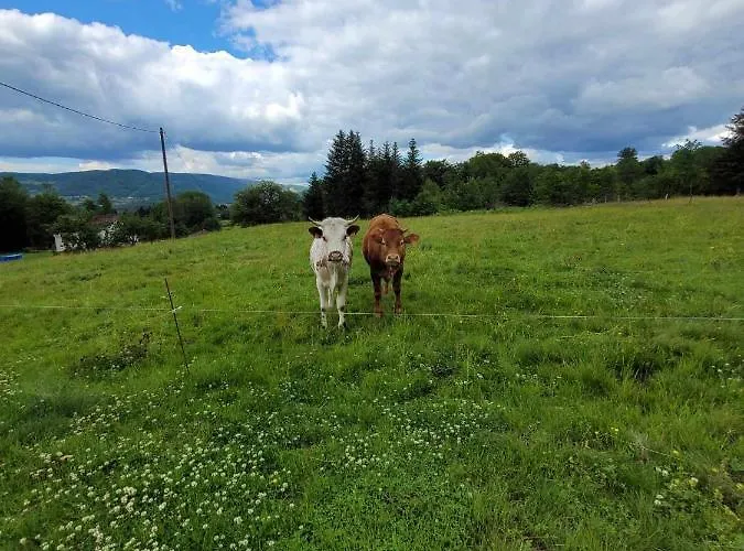 De La Ferme De La Comte *