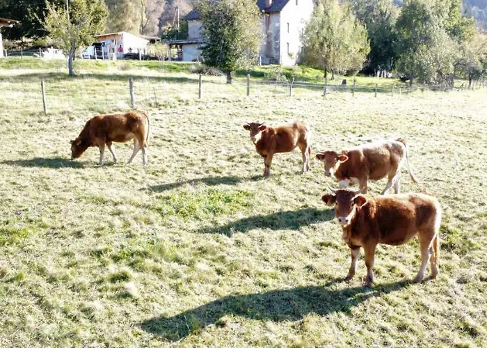 De La Ferme De La Comte Prázdninový dům Le Thillot