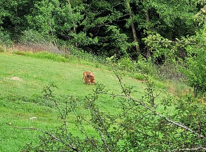 De La Ferme De La Comte *